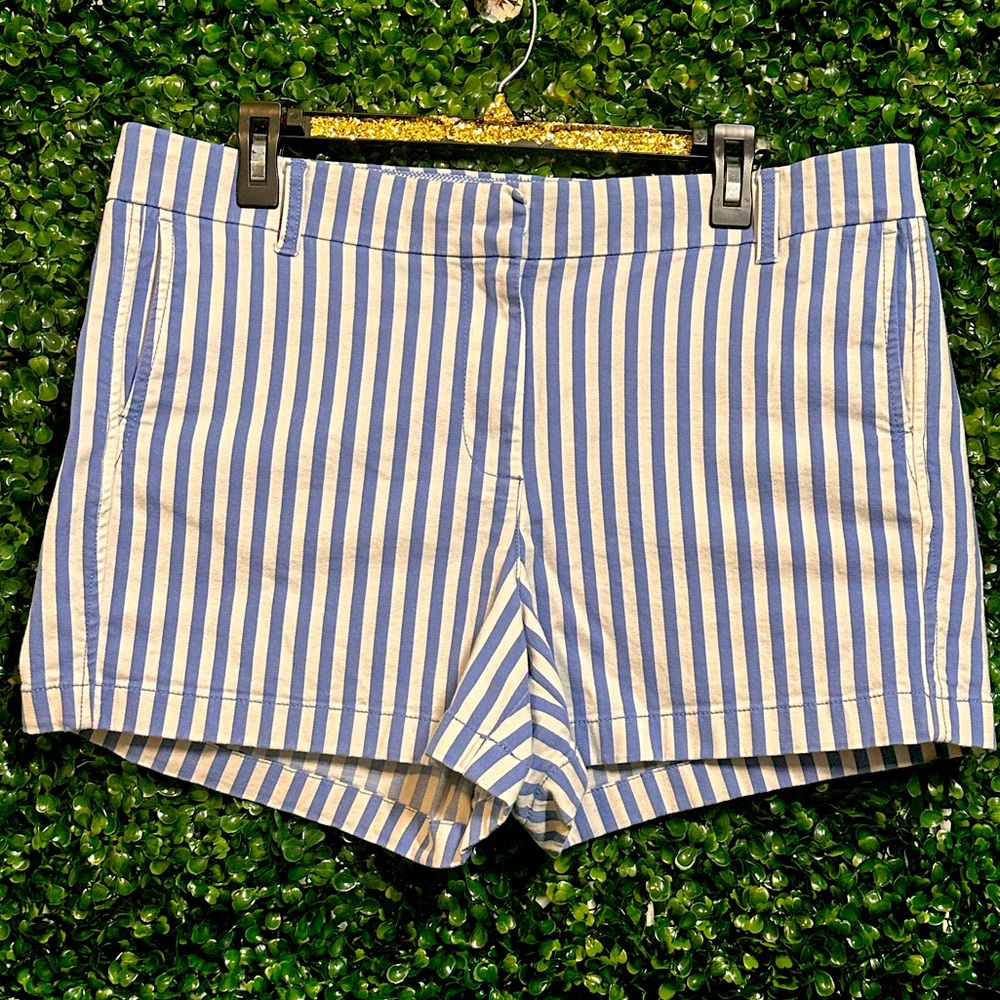 J. Crew Blue and White Striped Women Shorts